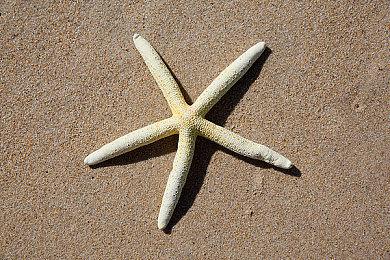 集英社游戏参加“科隆游戏展2024”，《都市传说解体中心》公开新中文预告片！